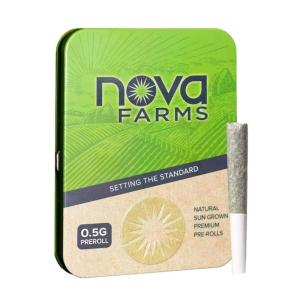 Lemon Fresh - 1 Pack