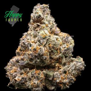 Black Cherry Gelato - 3.5g