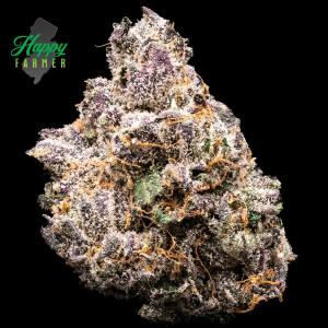 Boston Runtz - 3.5g