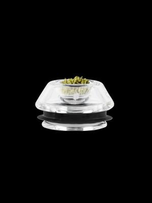 Proxy - Flower Bowl Attachment